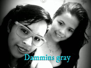Dammins_gray