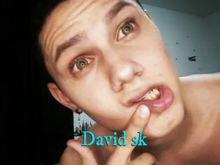 David_sk