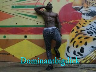 Dominantbigdick