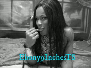 Ebony9InchesTS