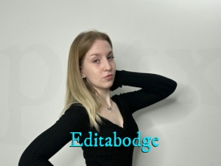 Editabodge