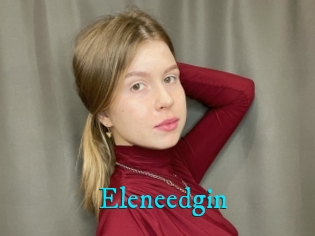 Eleneedgin
