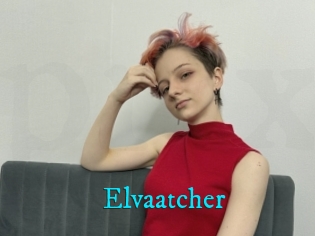 Elvaatcher