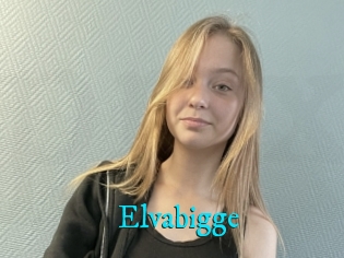 Elvabigge