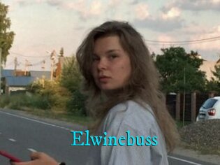 Elwinebuss