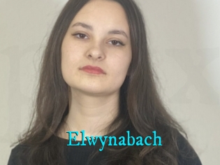 Elwynabach