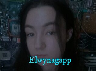 Elwynagapp