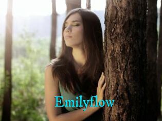 Emilyflow