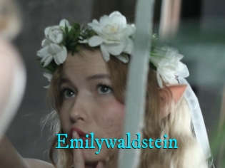 Emilywaldstein