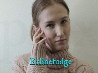 Erlinefudge