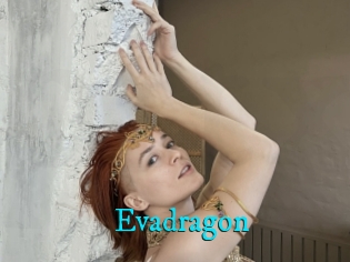 Evadragon
