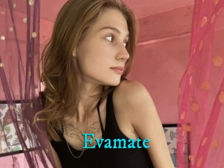 Evamate