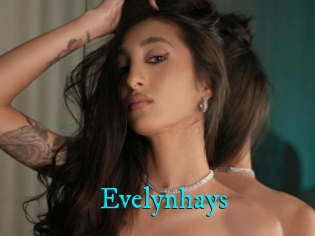 Evelynhays