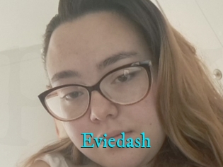 Eviedash