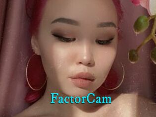 FactorCam