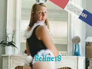 Feline18