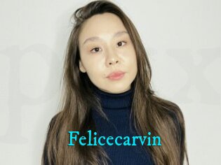 Felicecarvin