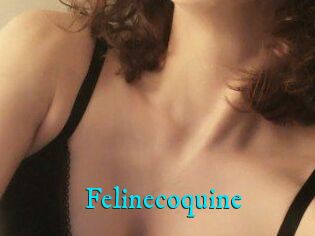 Felinecoquine