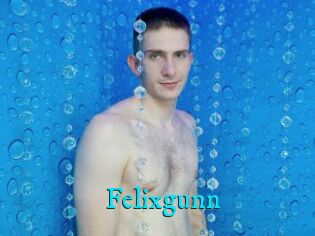 Felixgunn