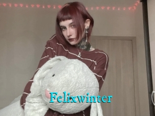 Felixwinter