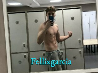 Fellixgarcia