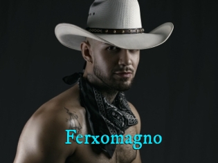 Ferxomagno