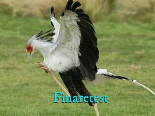 Finaretest