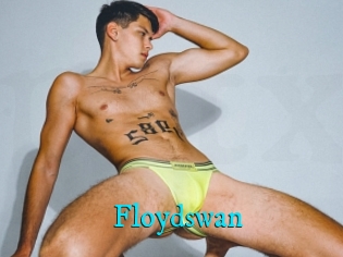 Floydswan