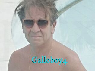 Galloboy4