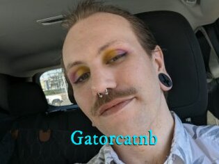 Gatorcatnb