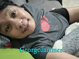 Georgedammer