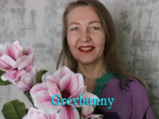 Greybunny