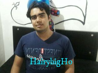 HairybigHo