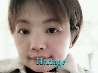 Haringo