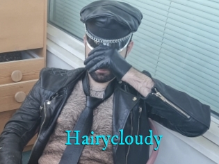 Hairycloudy