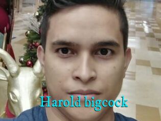 Harold_bigcock
