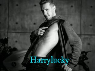 Harrylucky