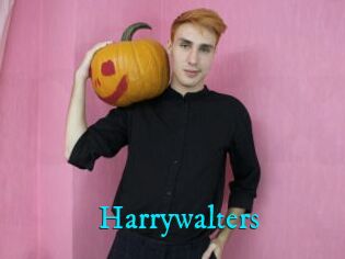 Harrywalters