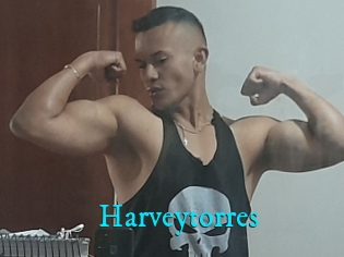 Harveytorres