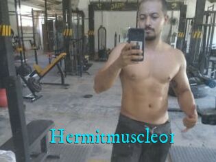 Hermitmuscle01