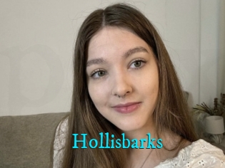 Hollisbarks