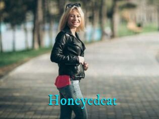 Honeyedcat