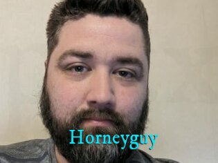 Horneyguy