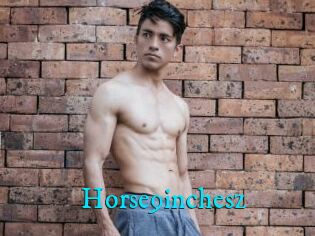 Horse9inchesz