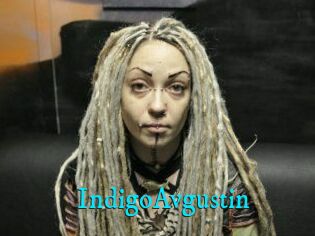IndigoAvgustin