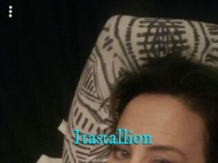 Itastallion