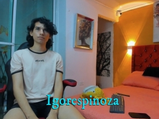Igorespinoza