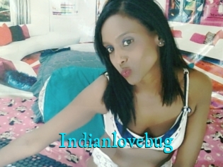 Indianlovebug
