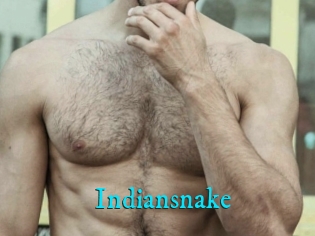 Indiansnake