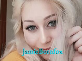 JamieBornfox